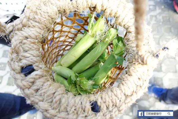【宜蘭景點】鳩之澤溫泉 X 溫泉煮蛋區 X 多望吊橋 X 太平山國家森林遊樂區