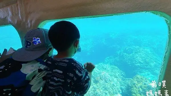 【屏東‧墾丁恆春】紅柴坑小海豚半潛艇│和孩子一起進入海底世界，綠蠵龜、珊瑚礁、美麗的海底世界就在眼前!
