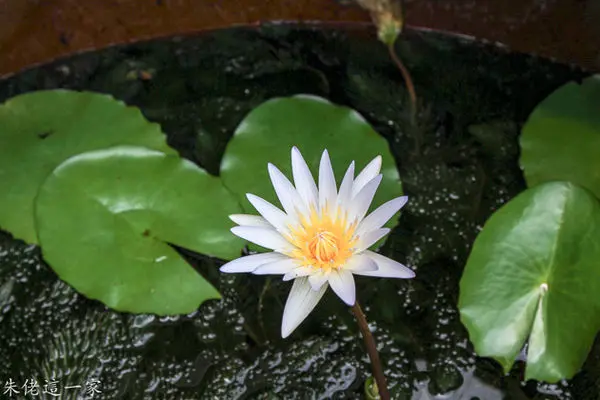 【馬祖美食】林義和工坊。老酒DIY+隱藏版的人間美味