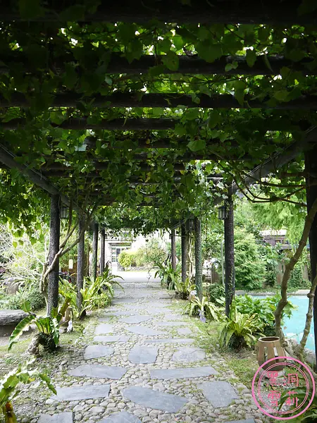 ❤宜蘭❤ 有美麗大鄧伯花之鄧伯花廊咖啡館 ⊙15Sep13⊙