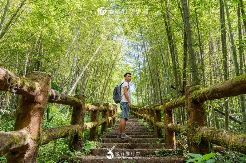 孟宗竹林步道