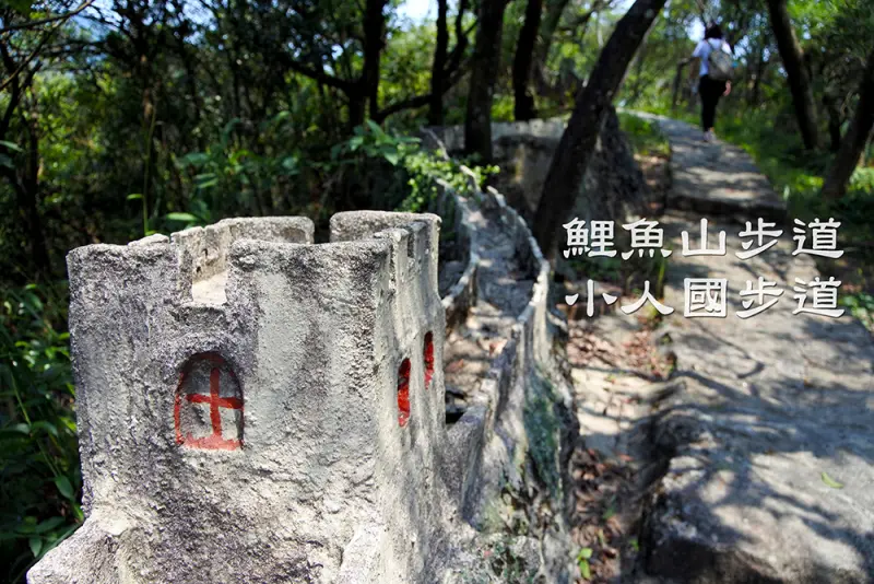 【台北市。內湖區】山野中的小人國歷險@鯉魚山親山步道