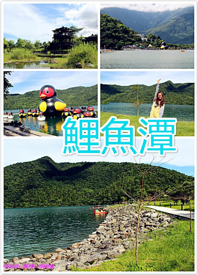  //花蓮景點//鯉魚潭。碧綠的湖水，煙霧瀰漫的山景，一種浪漫又休閒的享受，紅面番鴨出來玩喽！