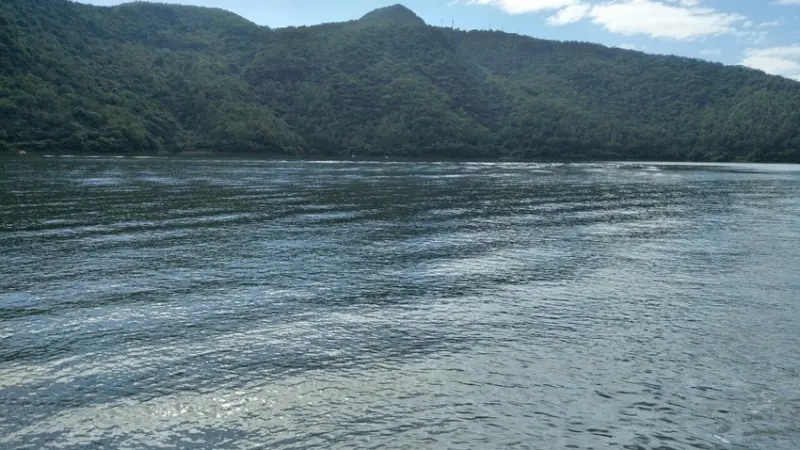 久違了，花蓮我來囉！DAY1露營車初體驗。