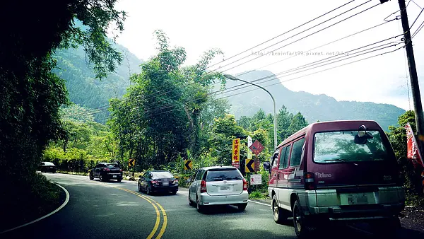 【南投‧竹山】繡球花季‧18度C依舊曬傷的杉林溪