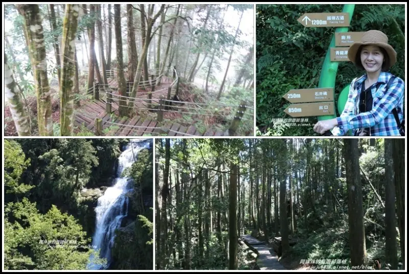 南投。杉林溪青龍蕨類步道。石井磯。青龍瀑布氣勢磅礡。越嶺古道穿越杉林間