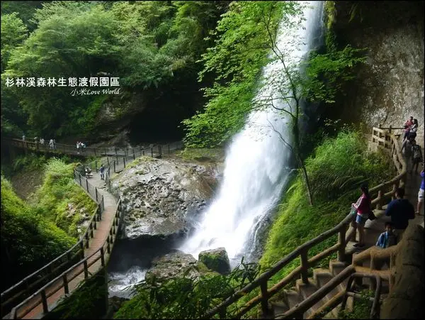 [遊記]南投竹山-杉林溪森林生態渡假園區 氣勢磅礡松瀧岩瀑布與繡球花季(6-9月)