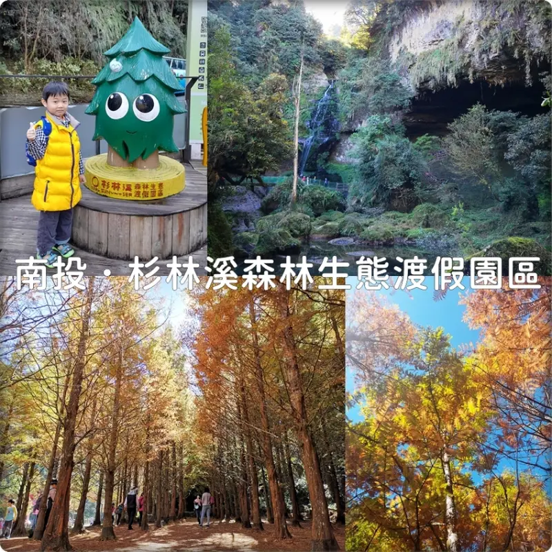 南投♥♡♥杉林溪森林生態渡假園區．散策在負離子森林中、黃金水杉林好好拍！