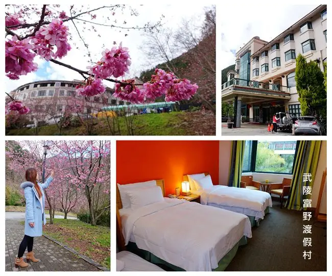 武陵農場住宿 ▶ 武陵富野渡假村 ▶ 一泊二食、SPA水療 享受被櫻花包圍的浪漫幸福感 #台中和平住宿