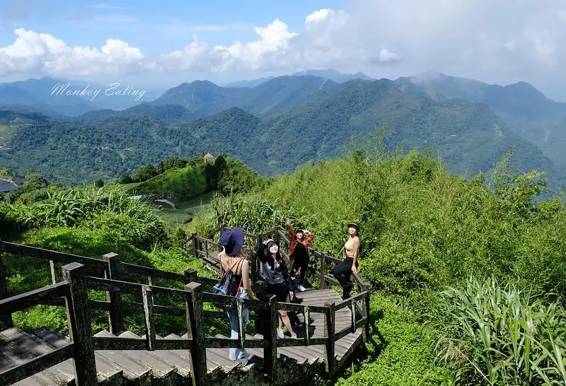 【二延平步道】嘉義阿里山隙頂最美茶園！順遊茶霧之道IG必拍美景收藏～