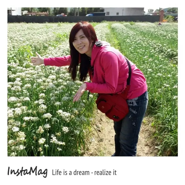 【桃園景點】九月雪~大溪中新里韭菜花田        
      