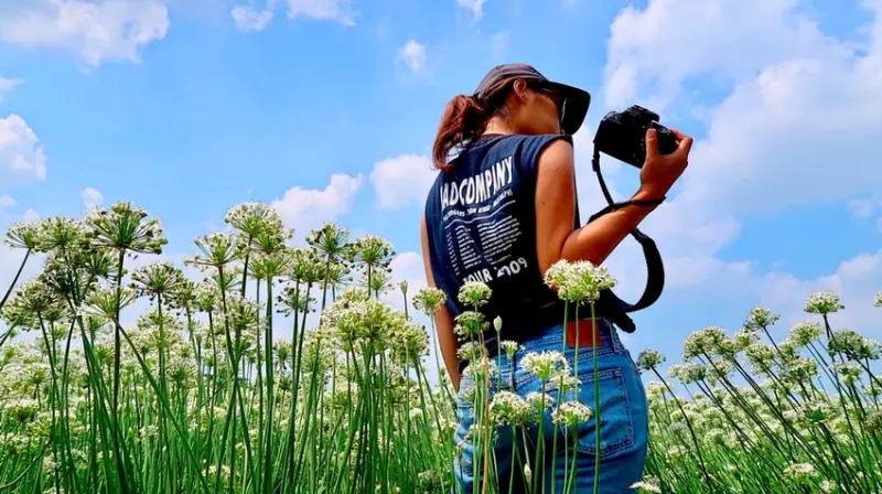 桃園季節限定景點/大溪韭菜花田，盛開的九月雪其實它是長這樣 - Ann‧榜哥‧生活事務所