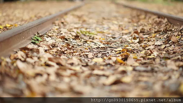羅東林業文化園區                
      