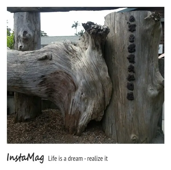 羅東林業文化園區        
      