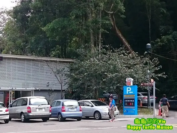 ∥龜龜Bilingual∥南投 魚池 ~伊達邵美食街~ 飯飯雞翅 古早紅茶 年記做不復賣高麗菜包