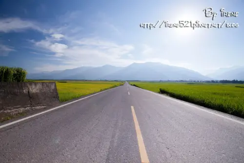 【台東池上】是畫布還是真實的天堂之路．伯朗大道