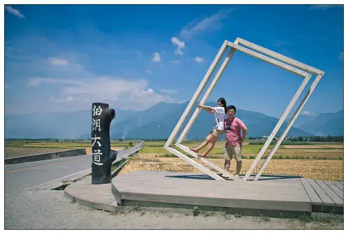 【遊記】 台東 伯朗大道與金城武樹_隔壁柑仔店不知道金城武