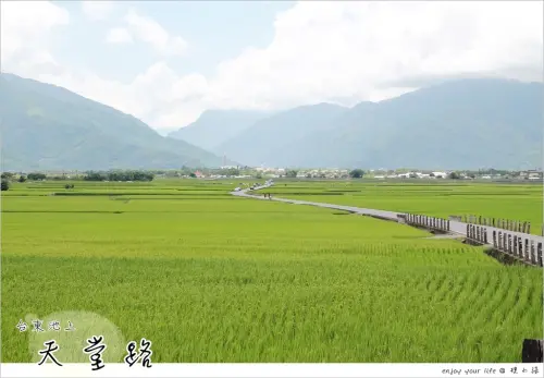 [台東] 和金城武一樣迷人的『池上伯朗大道』，超愛萬安社區【天堂路】！一起推動騎乘腳踏車的暢遊，愛護這裏。