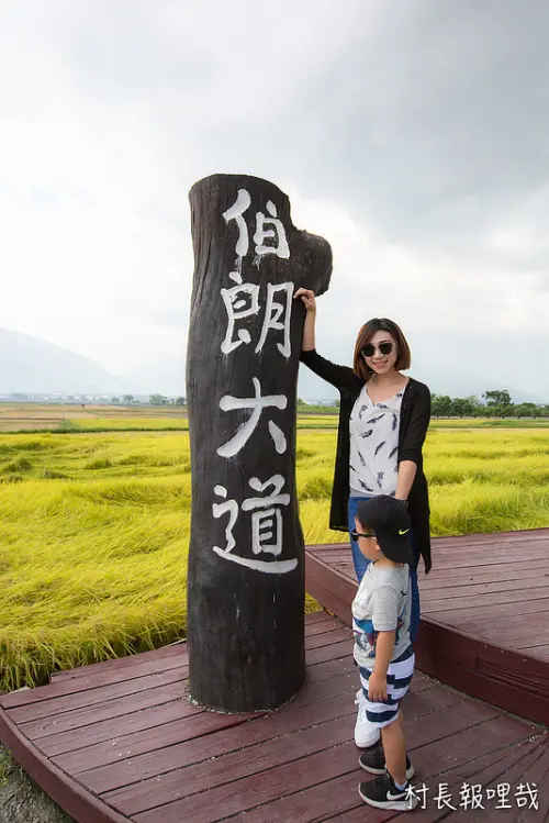 【食記】｛台東。池上鄉｝騎自行車遊伯朗大道、金城武樹、蔡依林樹！！租車找曾家車行