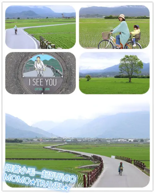 台東旅遊-伯朗大道 身為男人一輩子都一定要來當一次金城武 丨療癒天堂路