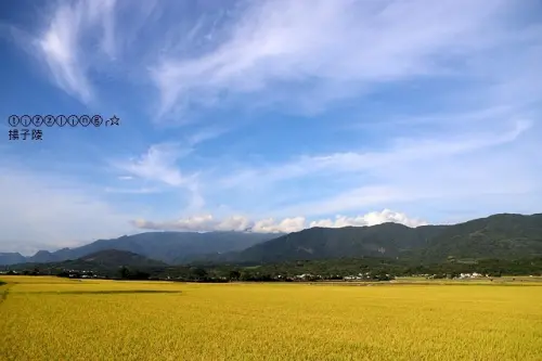 2020台東花蓮三日之旅，花蓮STARBUCKS星巴克(洄瀾門市)& 花蓮一碗小羊肉&台東池上伯朗大道&悟饕池上飯包文化故事館&台東住宿Life池上住宿～