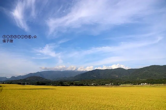 2020台東花蓮三日之旅，花蓮STARBUCKS星巴克(洄瀾門市)& 花蓮一碗小羊肉&台東池上伯朗大道&悟饕池上飯包文化故事館&台東住宿Life池上住宿～