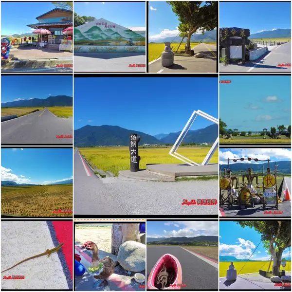 台東池上伯朗大道---『一條沒有電線桿的翠綠天堂路—伯朗大道』