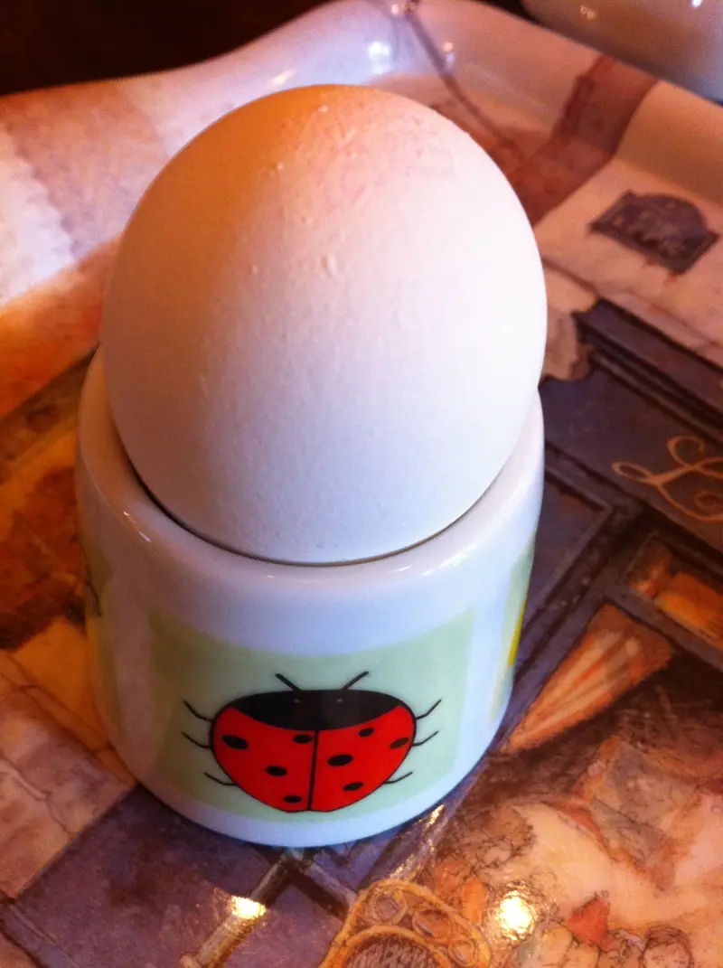 【宜蘭~民宿】我在台灣遇見德國的美~羅騰堡莊園(說好的早餐篇)