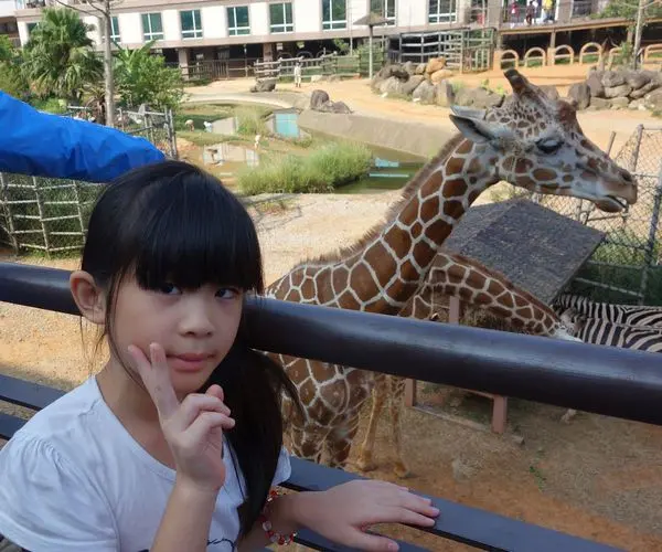 新竹旅遊 (六福村)六福莊生態渡假旅館~肯亞綠地房型