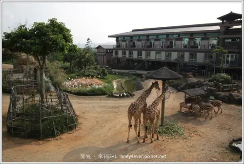 【親子旅遊】來去跟動物住一晚，大人小孩都尖叫的關西六福莊生態度假旅館