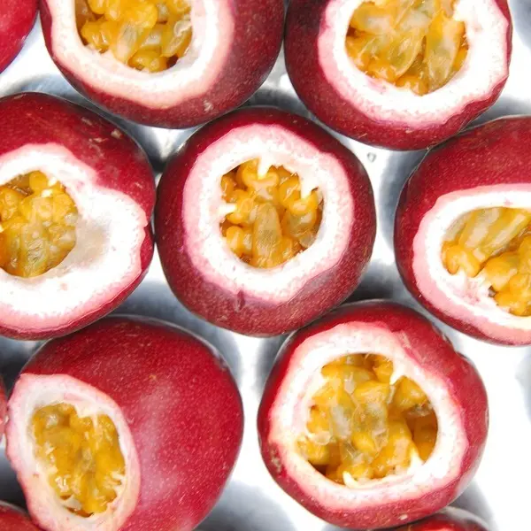 王乾坤有機果園