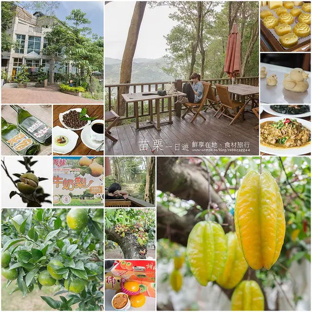 【時報旅遊踩線團】【苗栗】鮮享在地 食材旅行-507高地美健休閒農場芳香森林、秀妹果園、匯豐觀光農場