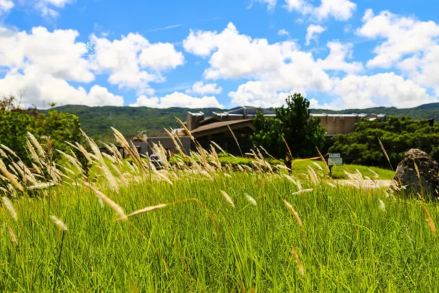 [屏東⊙恆春]龍鑾潭自然中心 。愜意賞鳥趣。旅程中放鬆的好地方。