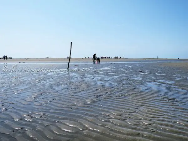 登飄移的沙洲‧探將消失的國土..      /東石外傘頂洲              