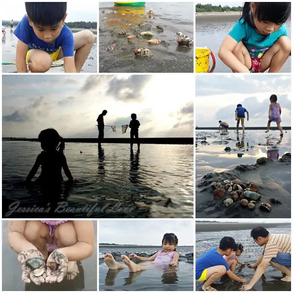 【新竹竹北】2015兄妹愛上摸蛤蜊。新月沙灣