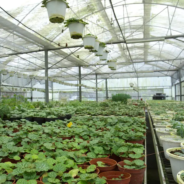 千里光藥園休閒農場