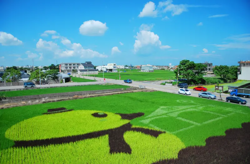 心 . 旅行 * 苗栗 ( 苑裡 ) . 彎麗小鴨彩繪稻田