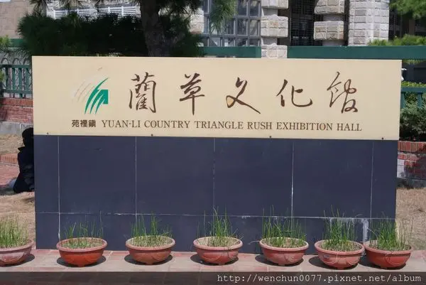 [苑里景點]觀景臺下的稻田彩繪~藺草文化館和愛情果園