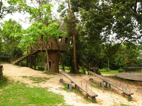 【苗栗】釋放心中的浪漫精靈。進入魔法森林，尋找自己的夢遊仙境。