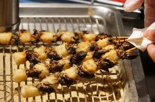 台南美食推薦-高鈣、高蛋白的炸蟋蟀，你吃過了沒．花園夜市＂蟋世珍寶炸蟋蟀＂