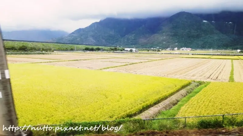 【祖孫三代花蓮行】DAY1_遠雄悅來飯店