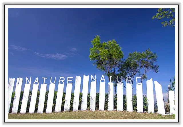 愛的國度！自然風情景觀餐廳