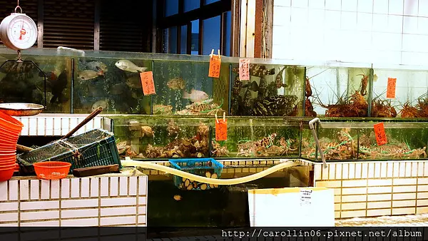  【食記】從小吃到大的老字號海產店《新港海鮮》