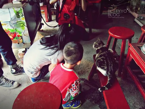 ♥[新北]平溪&侯硐一日遊，不專業分享!!!