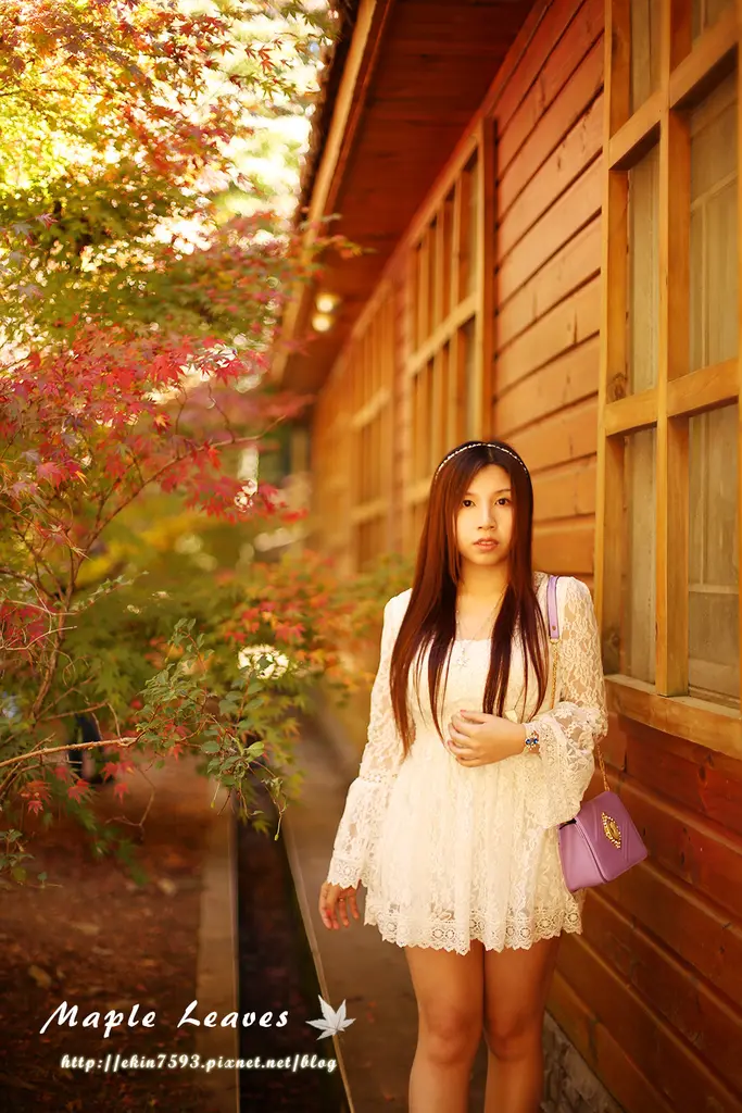 Is it fall?大地像個魔術師×把秋天的楓葉染紅了!台中.和平區【福壽山農場】松盧賞楓趣