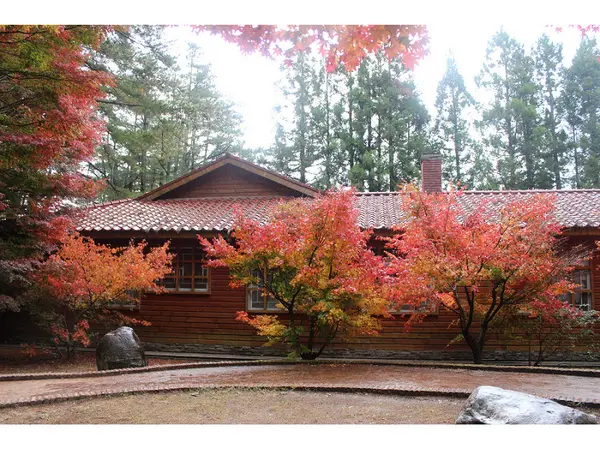 【遊記】oO。台中(宜蘭) 福壽山農場 秋楓 今年楓紅提早囉~秋楓時況轉播!像極在日本拍秋楓,這裡是賞楓葉的好地方!。o○。