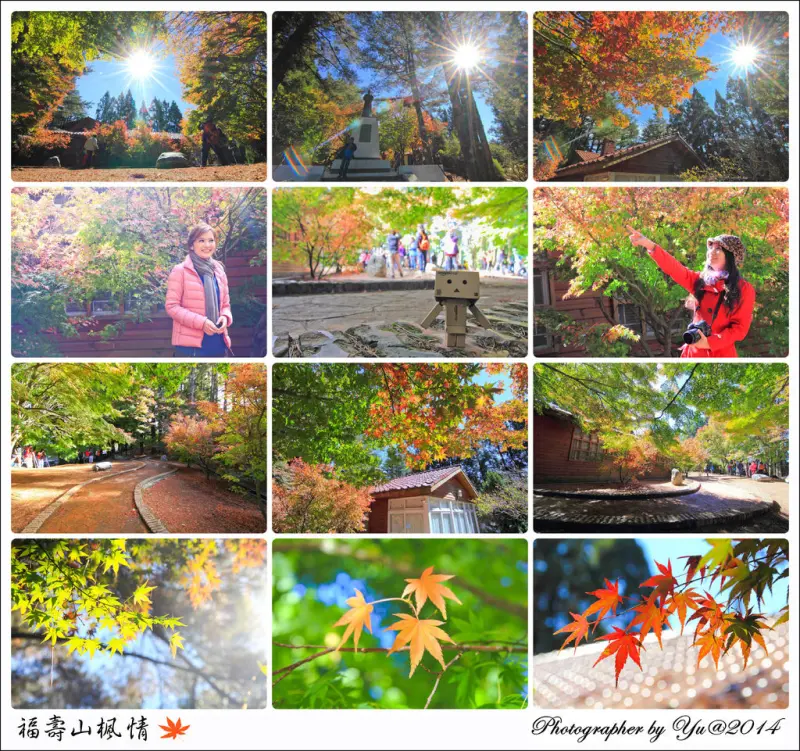 [遊記]【台中市和平區】福壽山農場。松廬楓紅之美~天池倒影~靜觀亭火燒雲琉璃光盡收眼底