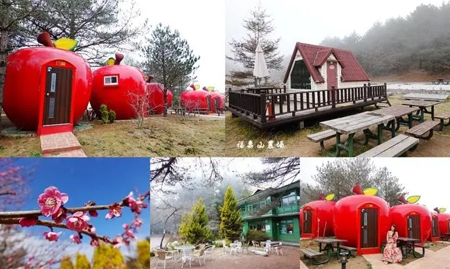 2020福壽山農場一日遊景點 ▶ 福壽山農場∣天池達觀亭∣福壽山農場露營區 ▶ 賞梅花∣賞櫻花∣露營 福壽山農場蘋果屋、小木屋、套餐午餐 武陵農場、梨山順遊景點!