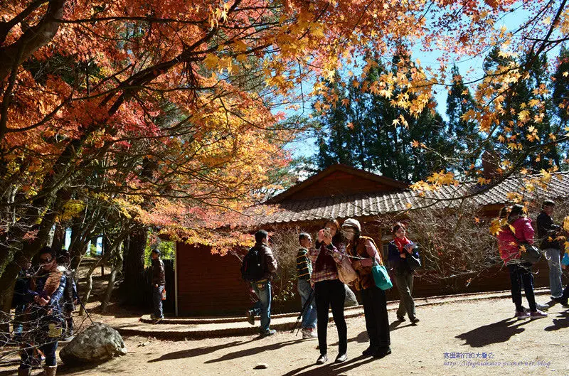 三天兩夜小旅行----福壽山農場+天池篇