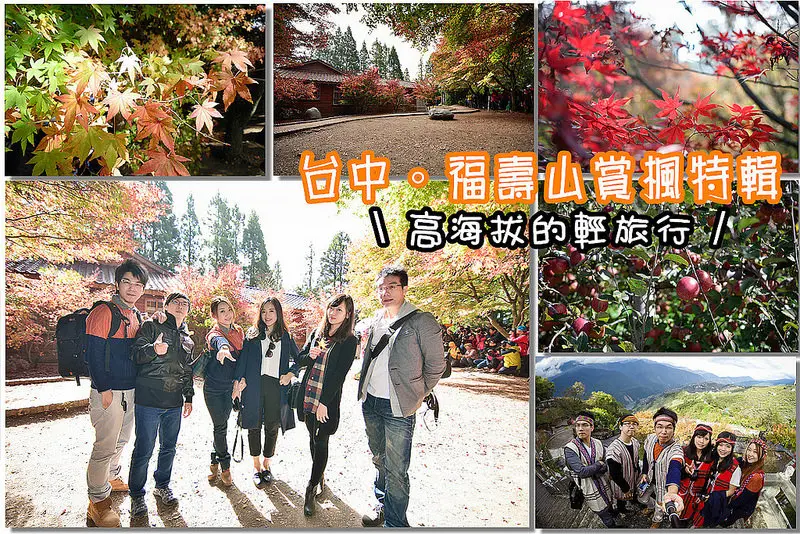 【台中遊記】2015福壽山農場~高海拔的輕旅行。賞楓季